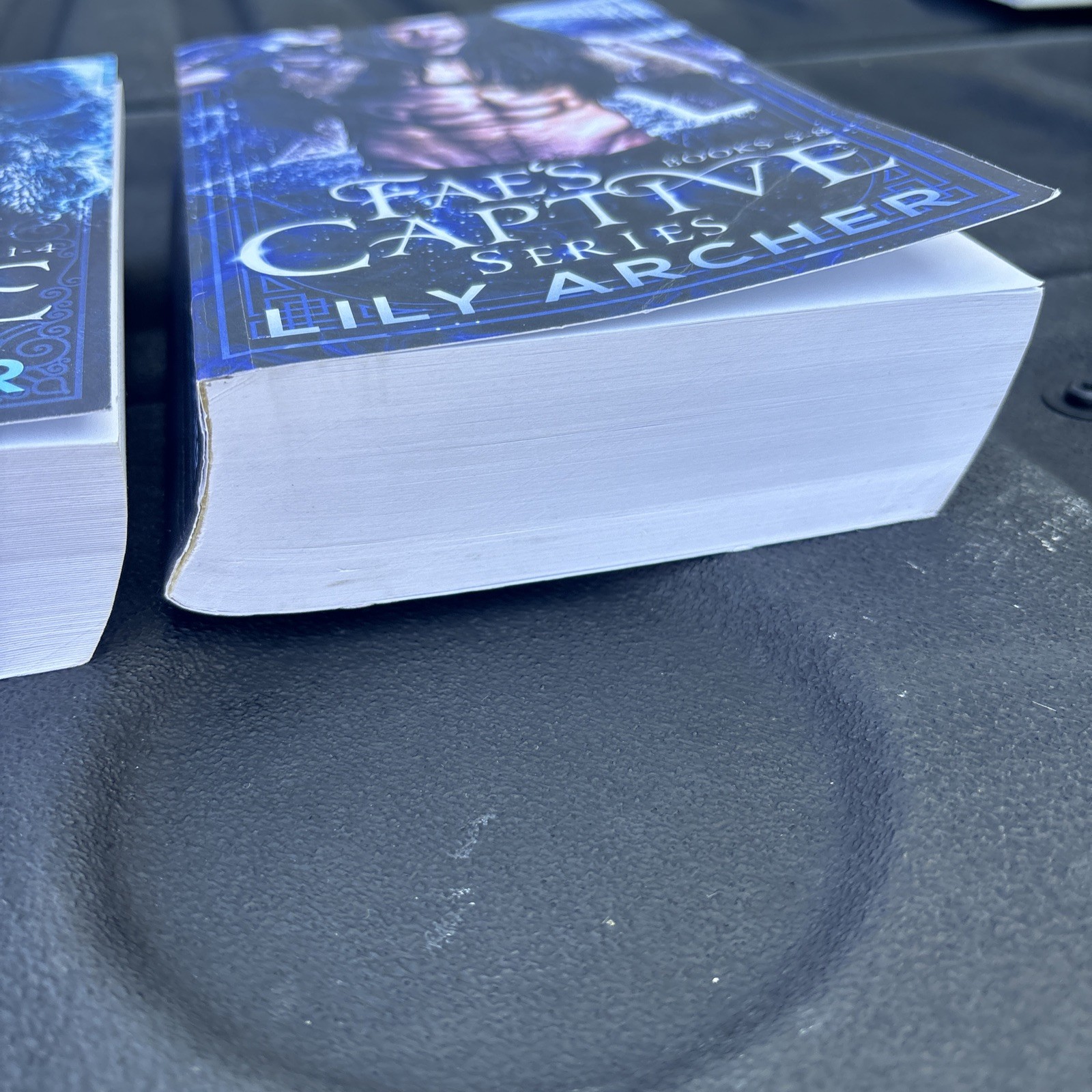 Fae’s Captive: Books 1-4 & 5-8 by Lily Archer Paperback Set