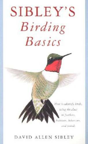 Sibley’s Birding Basics: How to Identify Birds, Using the Clues in Feathe – GOOD