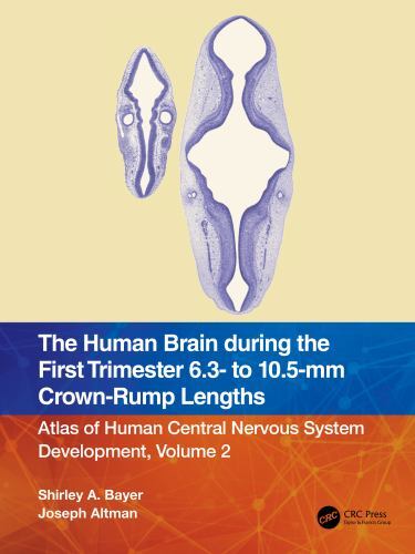 Human Brain During the First Trimester 6.3- to 10.5-mm Crown-rump Lengths : A…