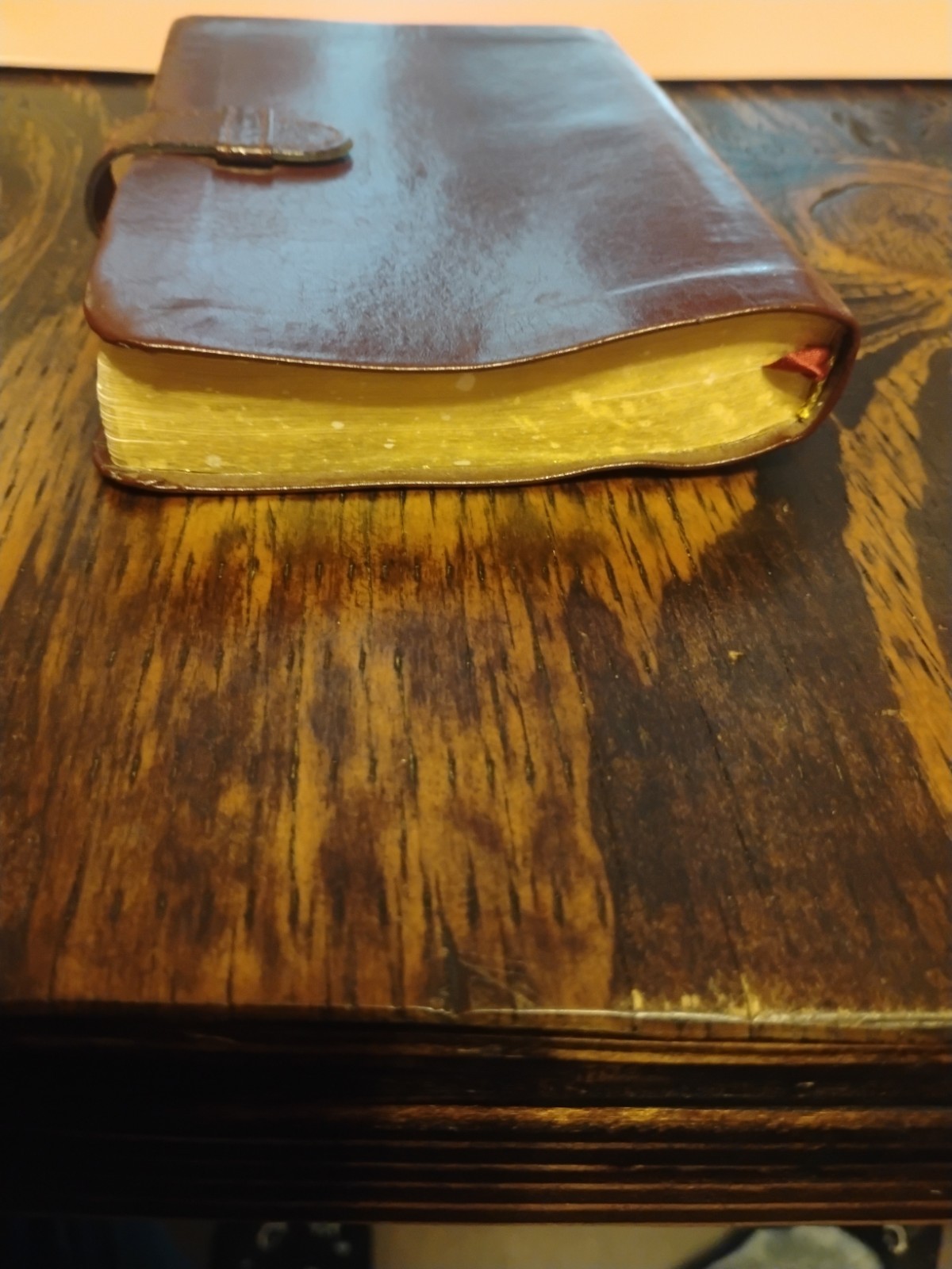 Slimline Reference Bible NLT New Living Translation by Tyndale Burgundy leather