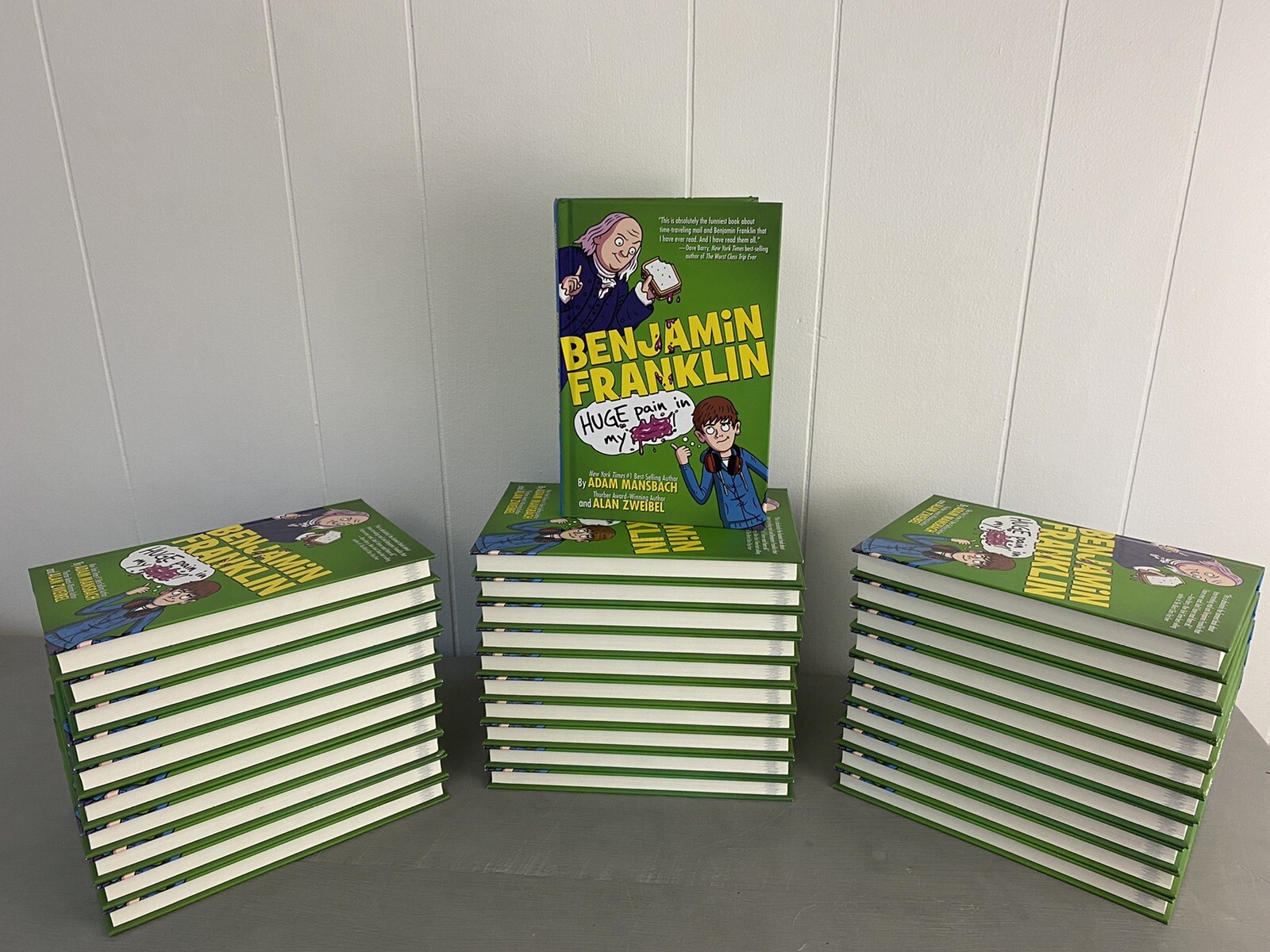 Benjamin Franklin Huge Pain in My… Lot of 31 Chapter Book Adam Mansbach SCHOOL