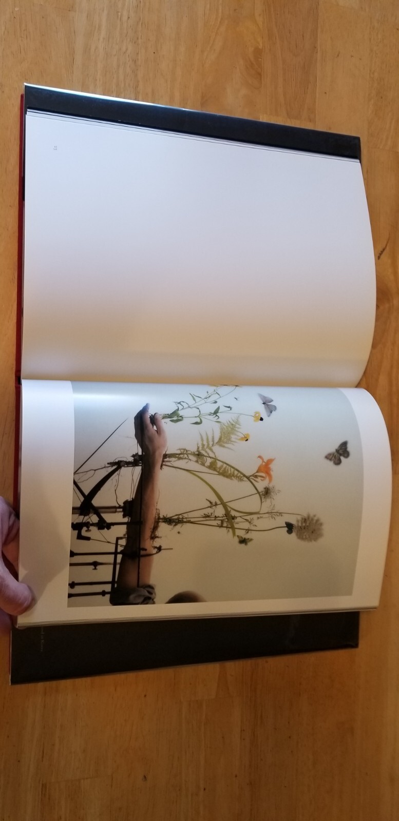 Robert & Shana ParkeHarrison COUNTERPOINT Hardback Twin Palms Publishers 2008