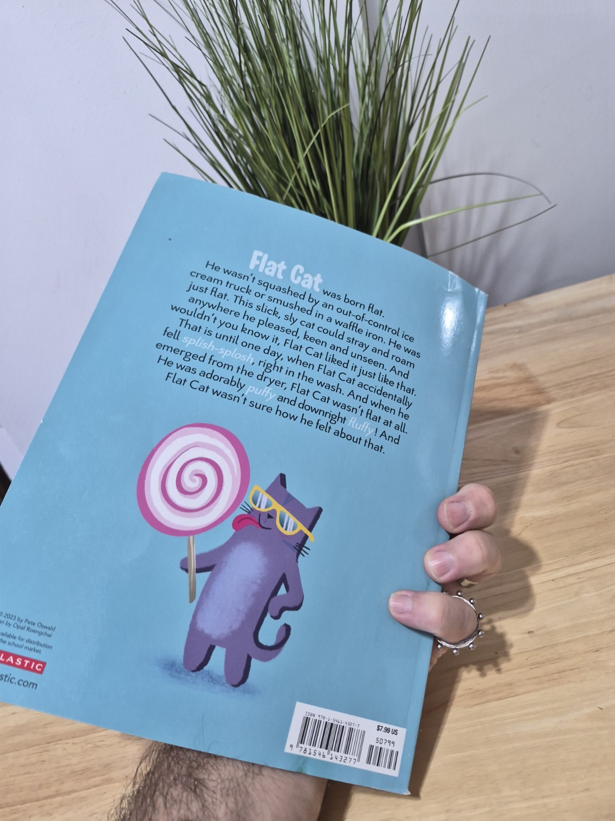 Flat Cat – By: Tara Lazar & Illustrated By: Pete Oswald 2024 Paperback