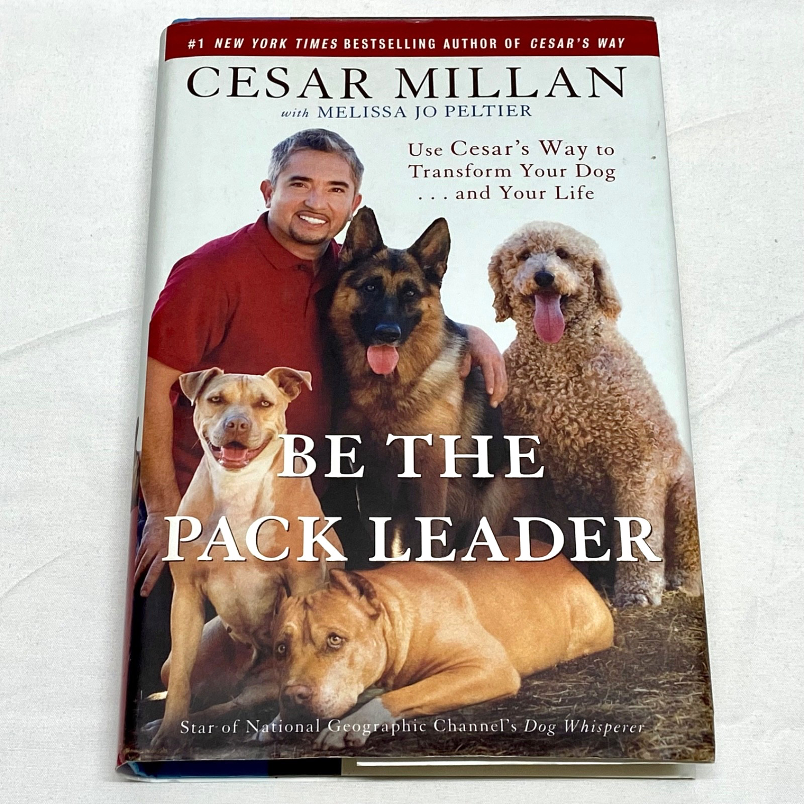 Cesar Millan Signed Pack Leader Use Cesar’s Way Transform Your Dog And Your Life