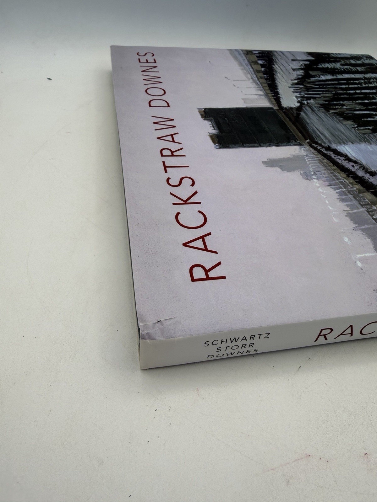 Rackstraw Downes Schwartz Storr Princeton University Press Hardcover DJ 2005