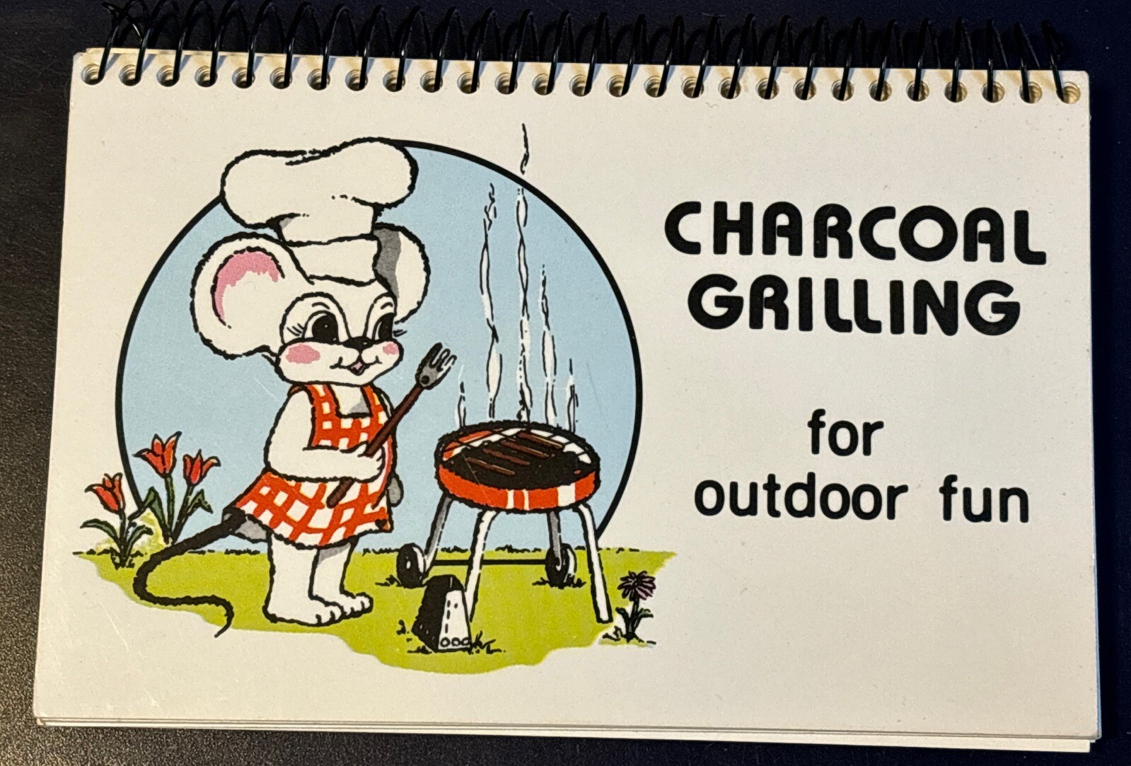 1982 CHARCOAL GRILLING for OUTDOOR fun BBQ pocket size 142 pages RECIPES 4 x 5.5