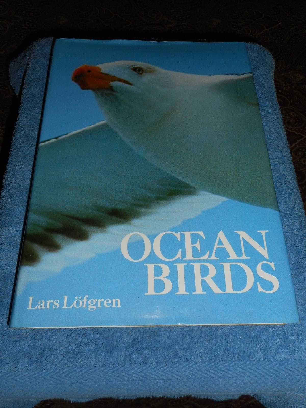 Ocean Birds Lars Lofgren 1984 HC/DJ 1st Edition Orinthology SEABIRDS Textbook
