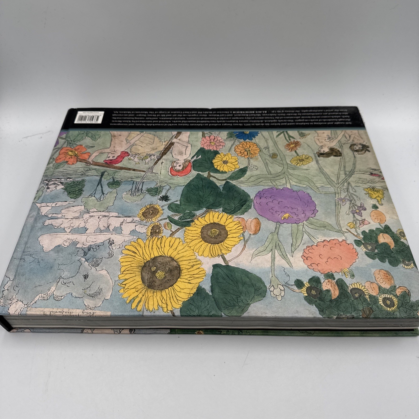 Henry Darger by Klaus Biesenbach (2014, Hardcover)