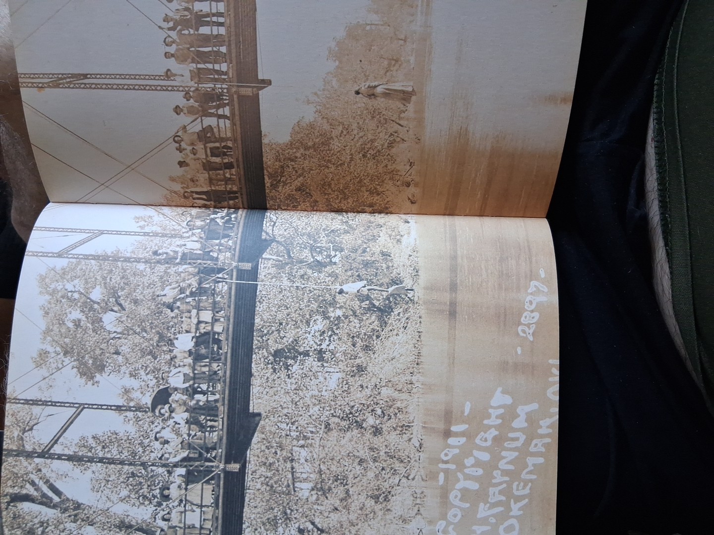 Without Sanctuary: Lynching Photography In America by James Allen, (2003). ÷
