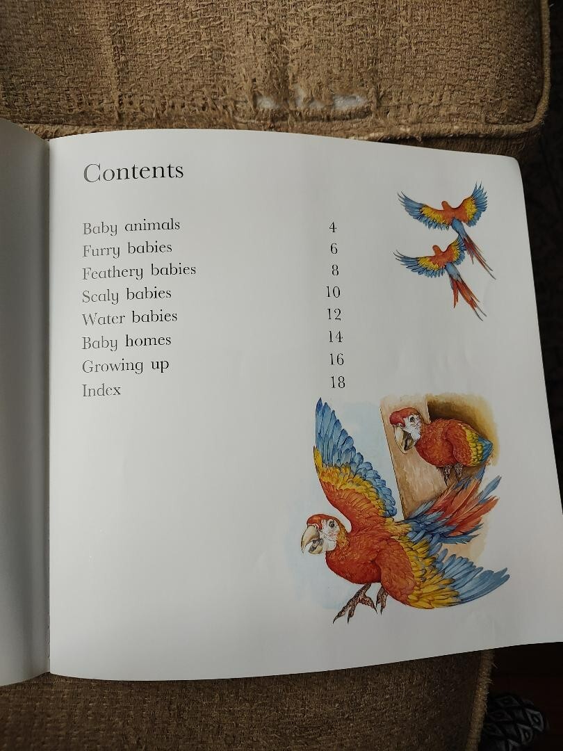 Flip the Flaps: Baby Animals Picture Book Hannah Wilson