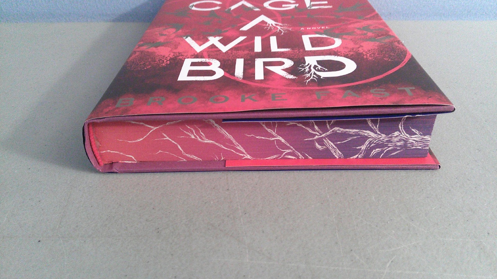 To Cage A Wild Bird 2025 HC Deluxe Limited Edition by Brooke Fast