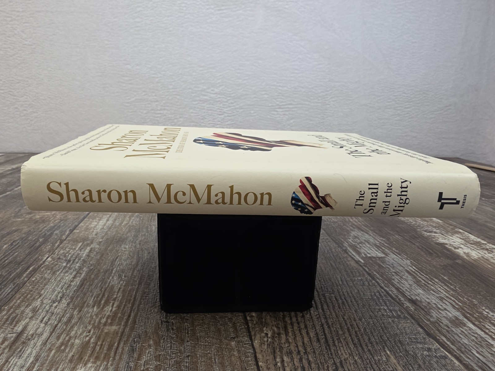 The Small & the Mighty by Sharon McMahon (2024, HC) AMERICAN HISTORY GOVERNMENT