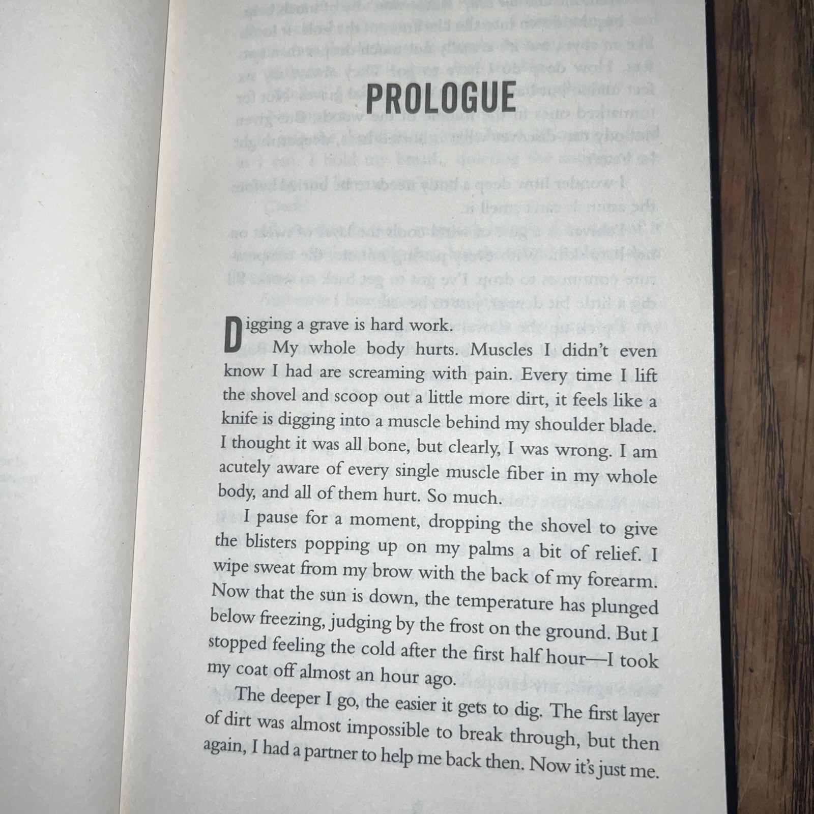 The Teacher – McFadden, Freida Paperback NYS Bear Selling Author