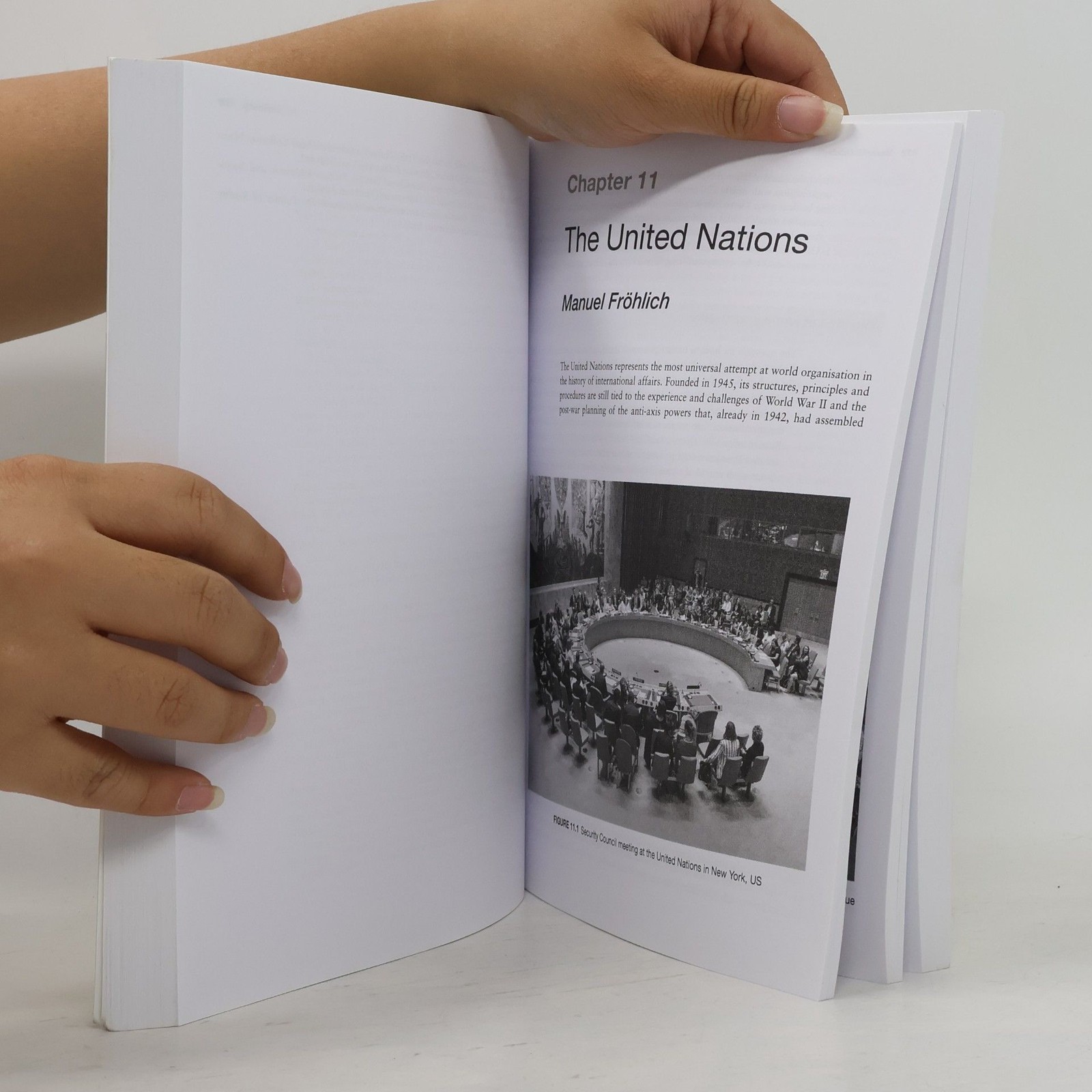 Understanding Global Politics: Actors and Themes in International Affairs