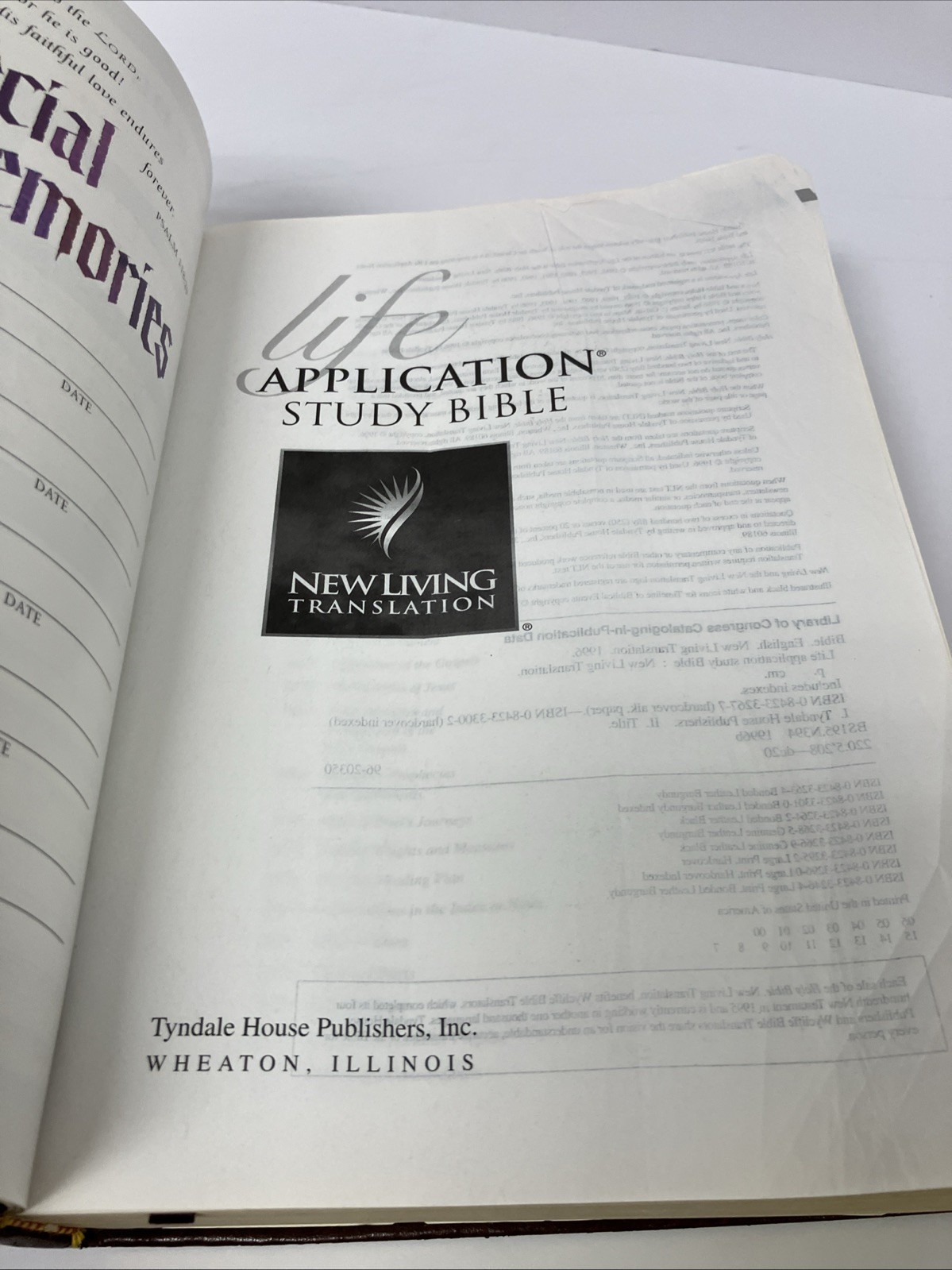 Life Application Study Bible Tyndale New Living Translation Burgundy Letter