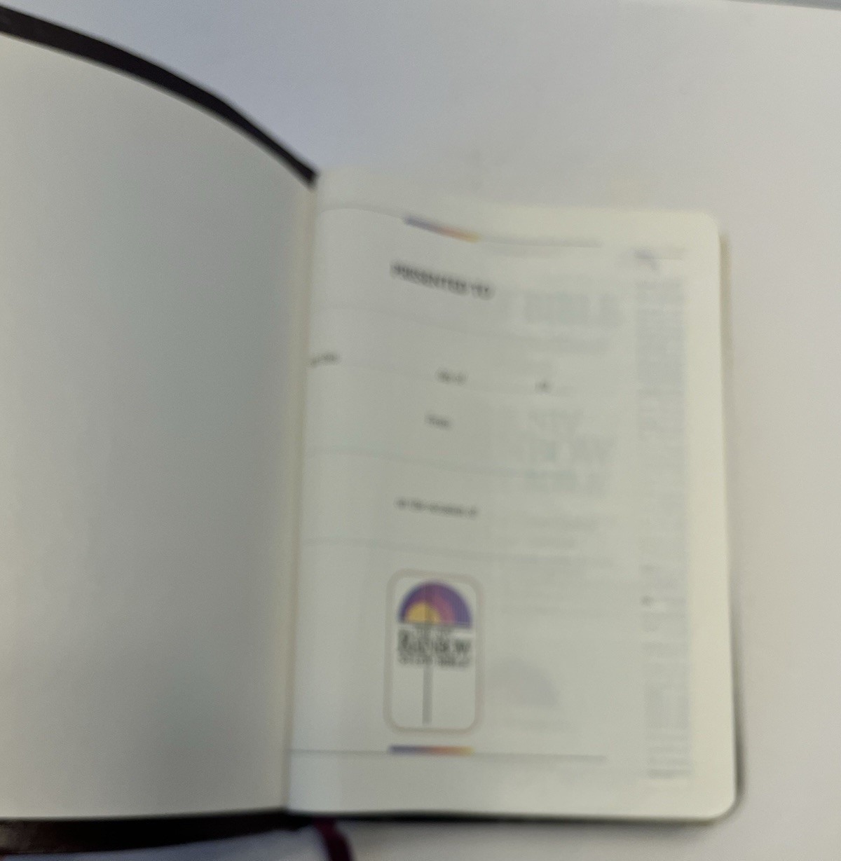 NIV Rainbow Study Bible Bold Line Edition New International Version Burgundy