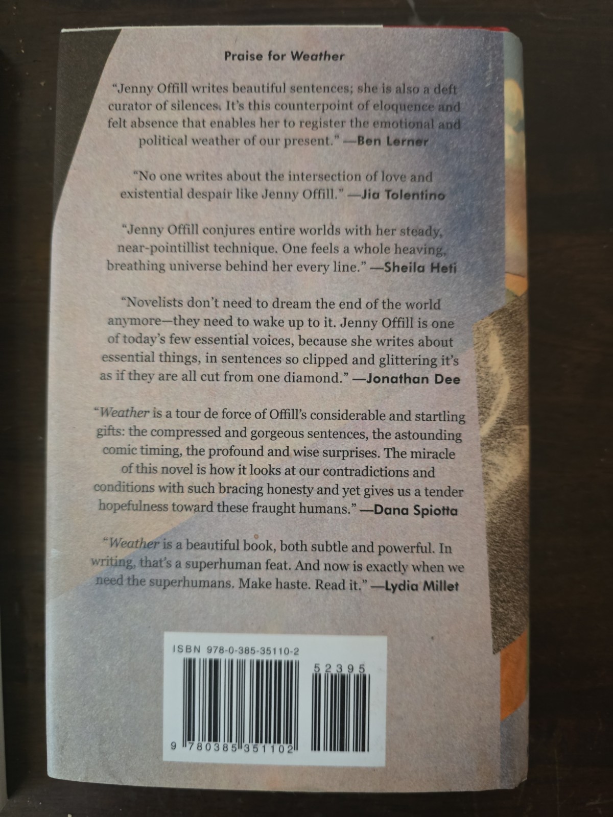 Weather : A Novel by Jenny Offill (2020, Hardcover)