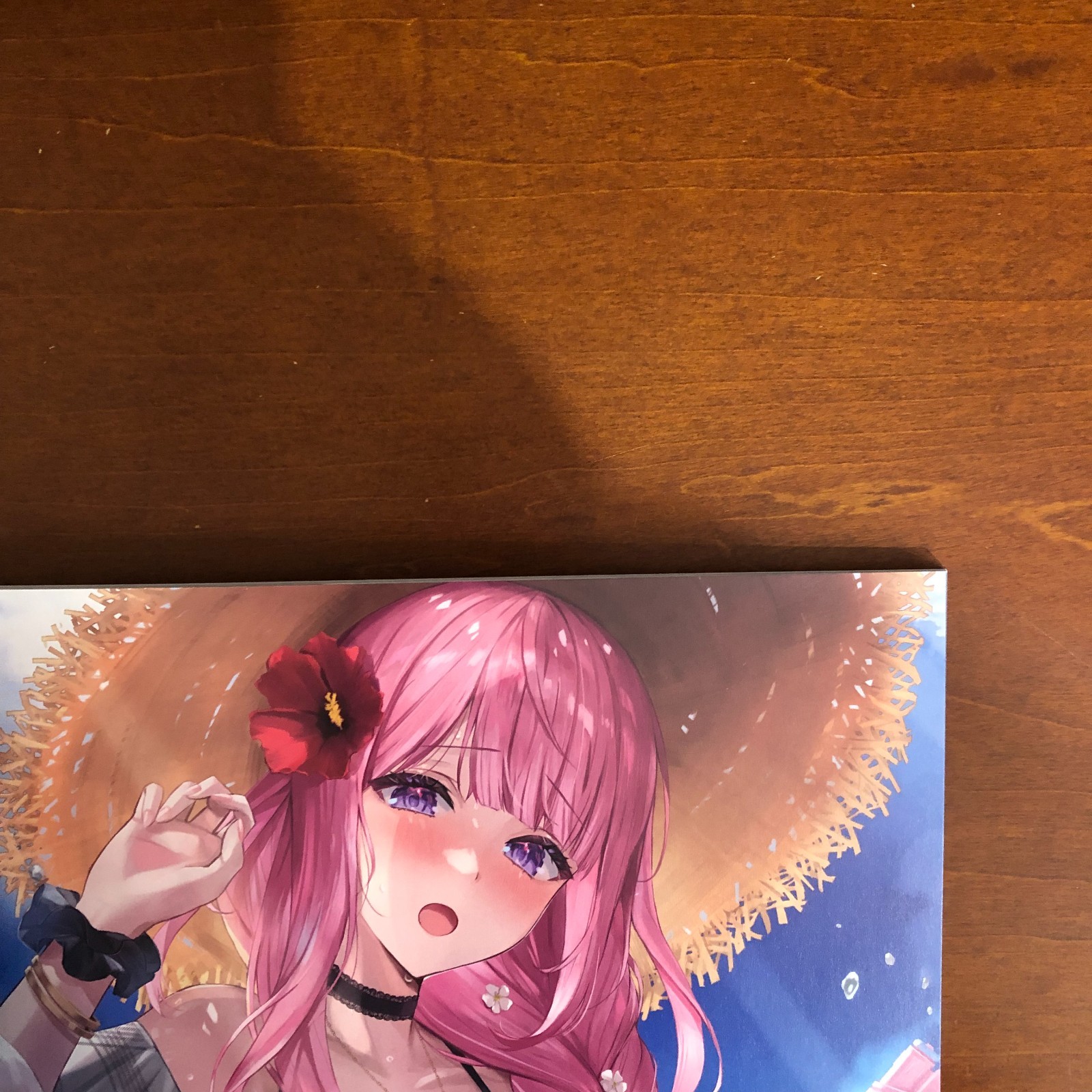 104+ Gloss by Melonbooks Girls Collection 2024 Art Book Illustration