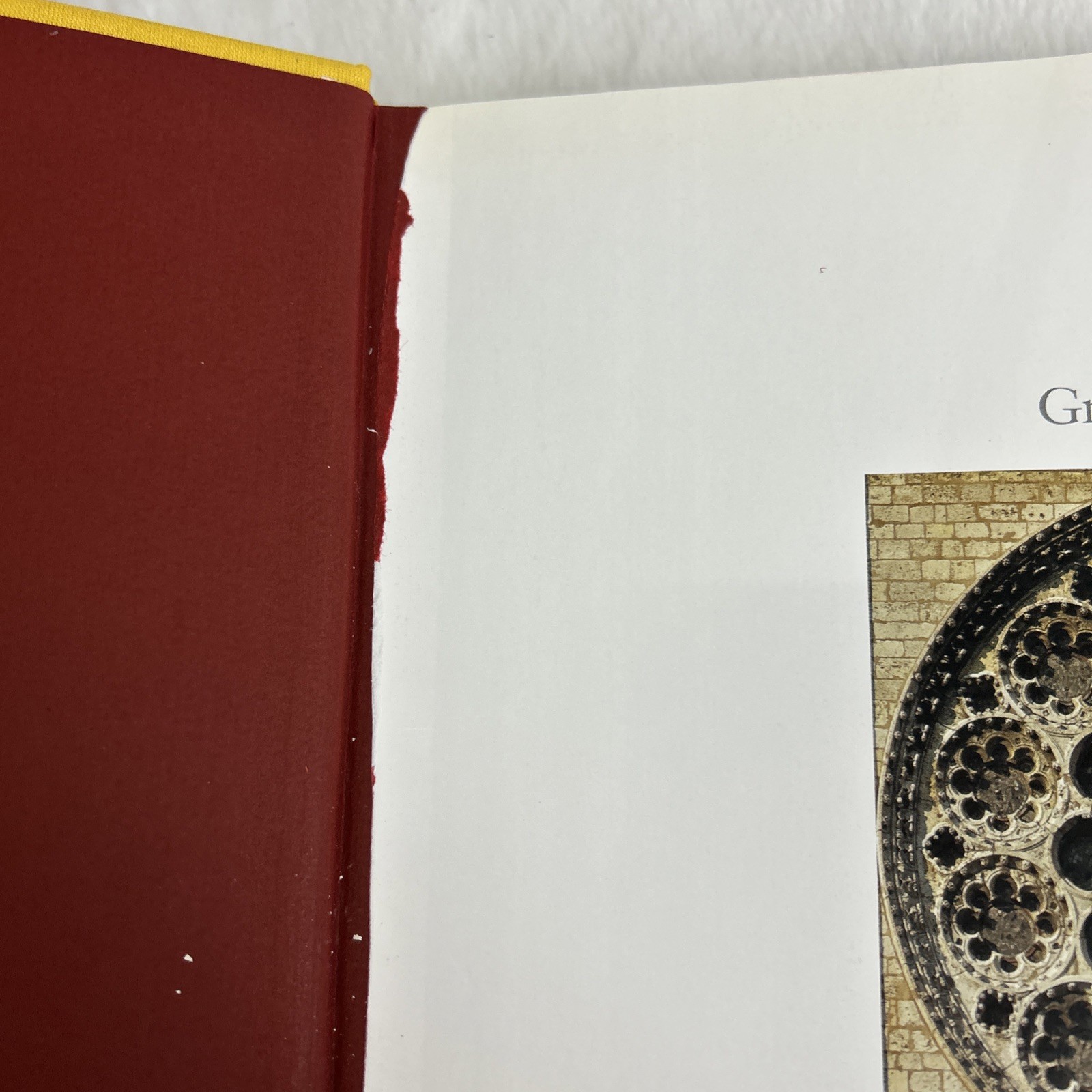 Great Cathedrals by Bernhard Schutz – VG Large Hardcover