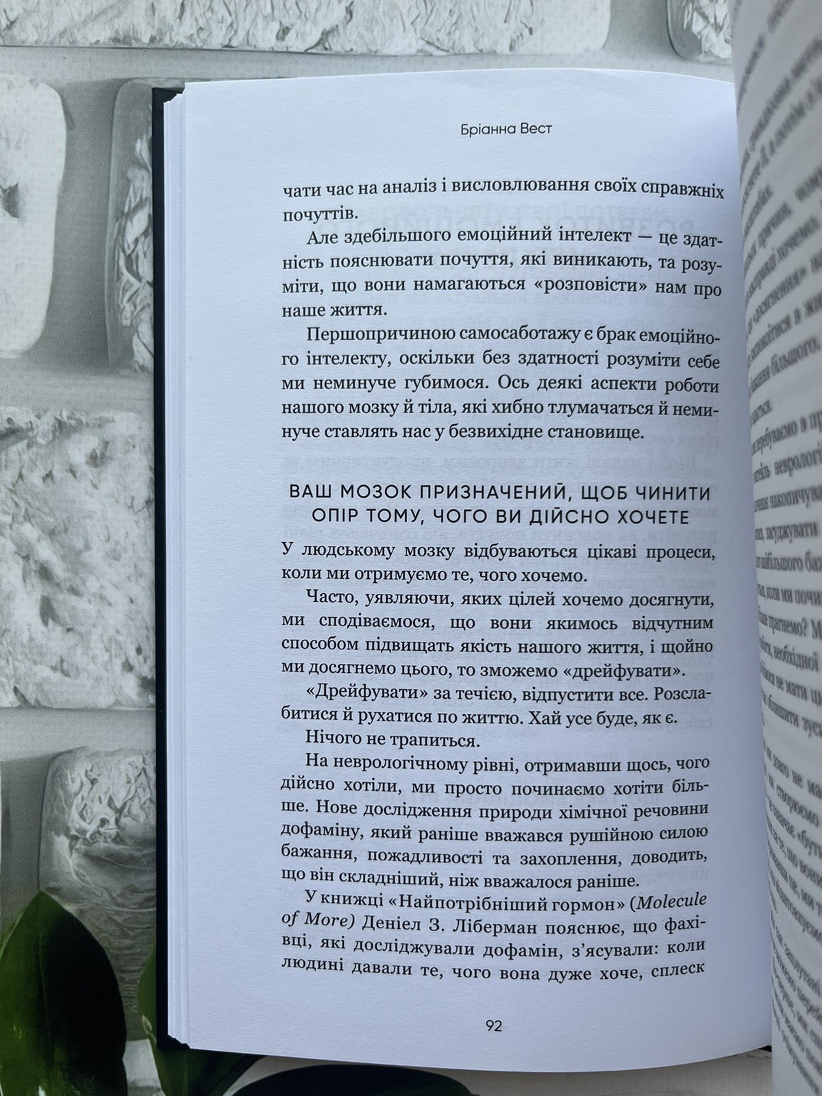Бріанна Вест | Тією горою є ви. Як перетворити самосаботаж на самовдосконалення