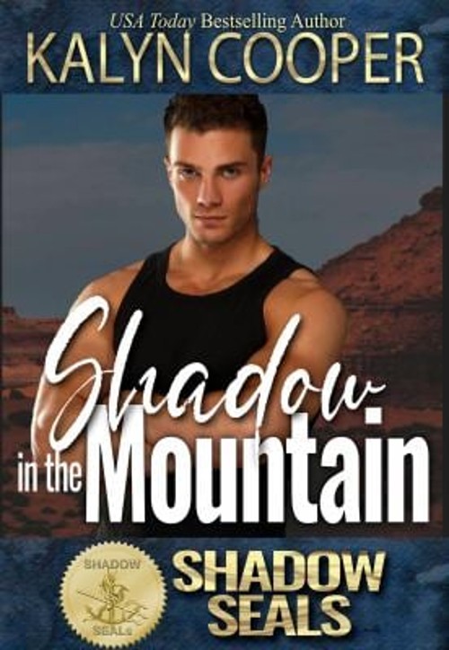 Shadow in the Mountain : Shadow SEALs Suspense Sisters