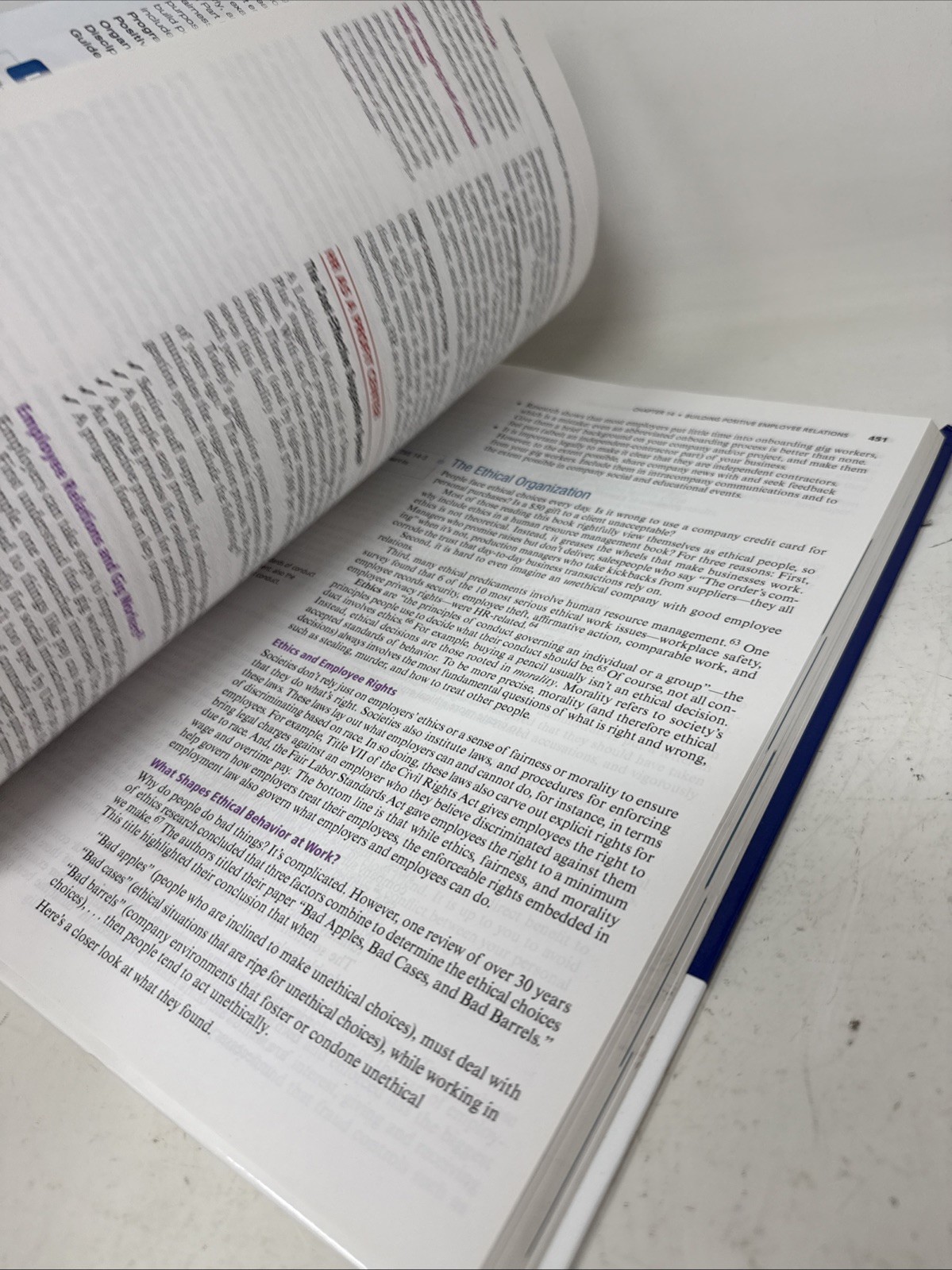 Human Resource Management (17th edition) RENTAL EDITION