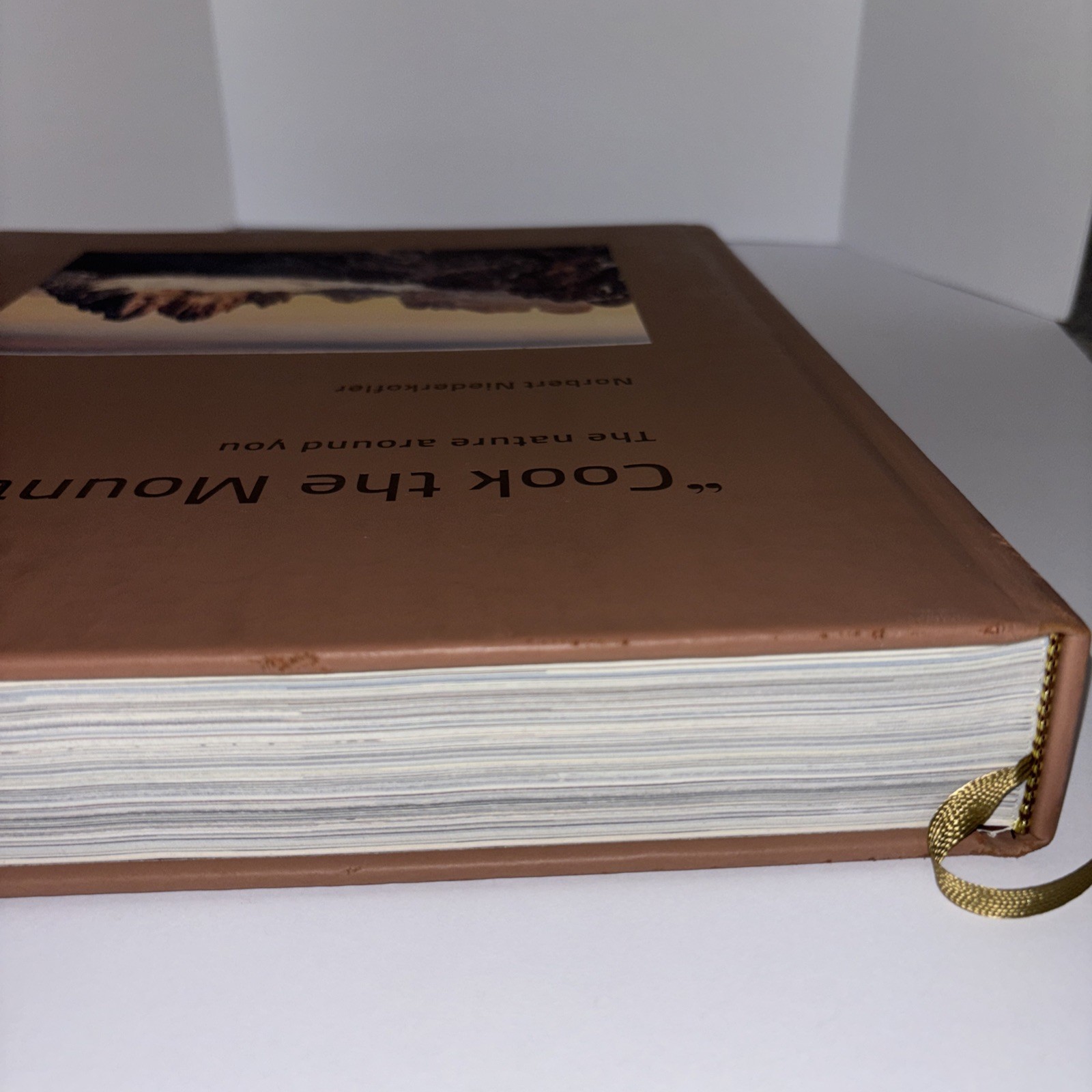 Norbert Biedermeier “Cook The Mountain” Book Prestel ISBN# 978-3-7913-8716-1
