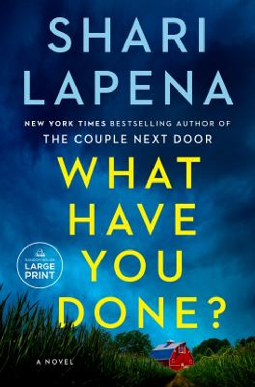What Have You Done? : A Novel Paperback Shari Lapena