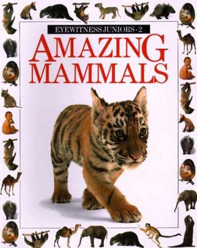 Amazing Mammals (Eyewitness – Paperback, by Dorling Kindersley Ltd – Acceptable