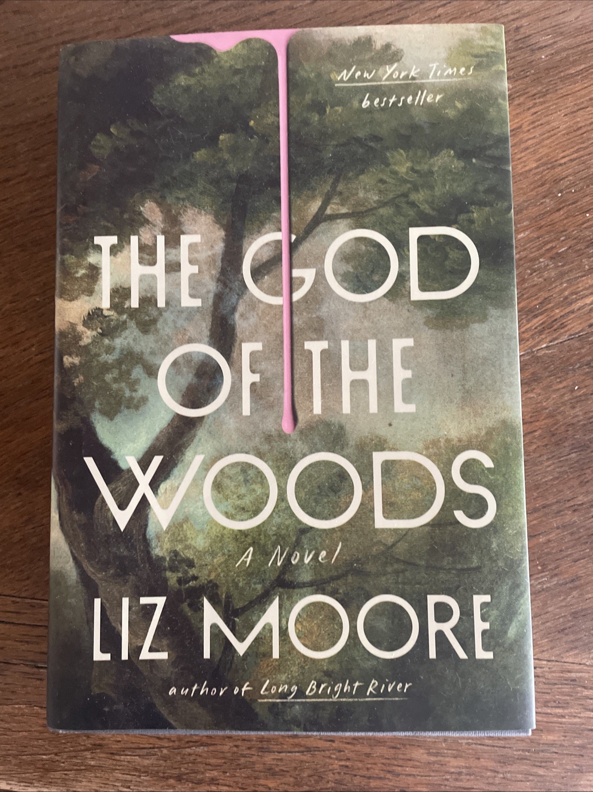 The God of the Woods: A Novel by Liz Moore (2024, Hardcover) LIKE NEW THRILLER