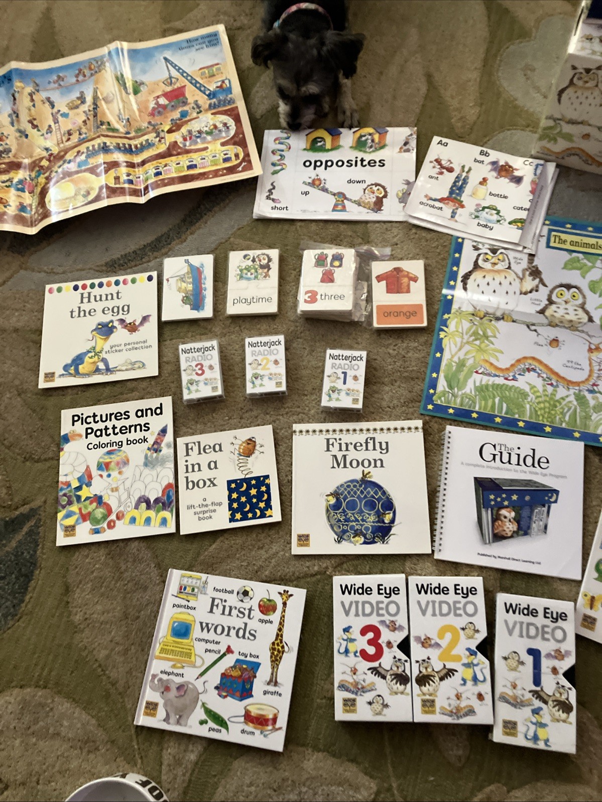 Wide Eyed Early Learning Program Kit for Toddlers Ages Books And Videos