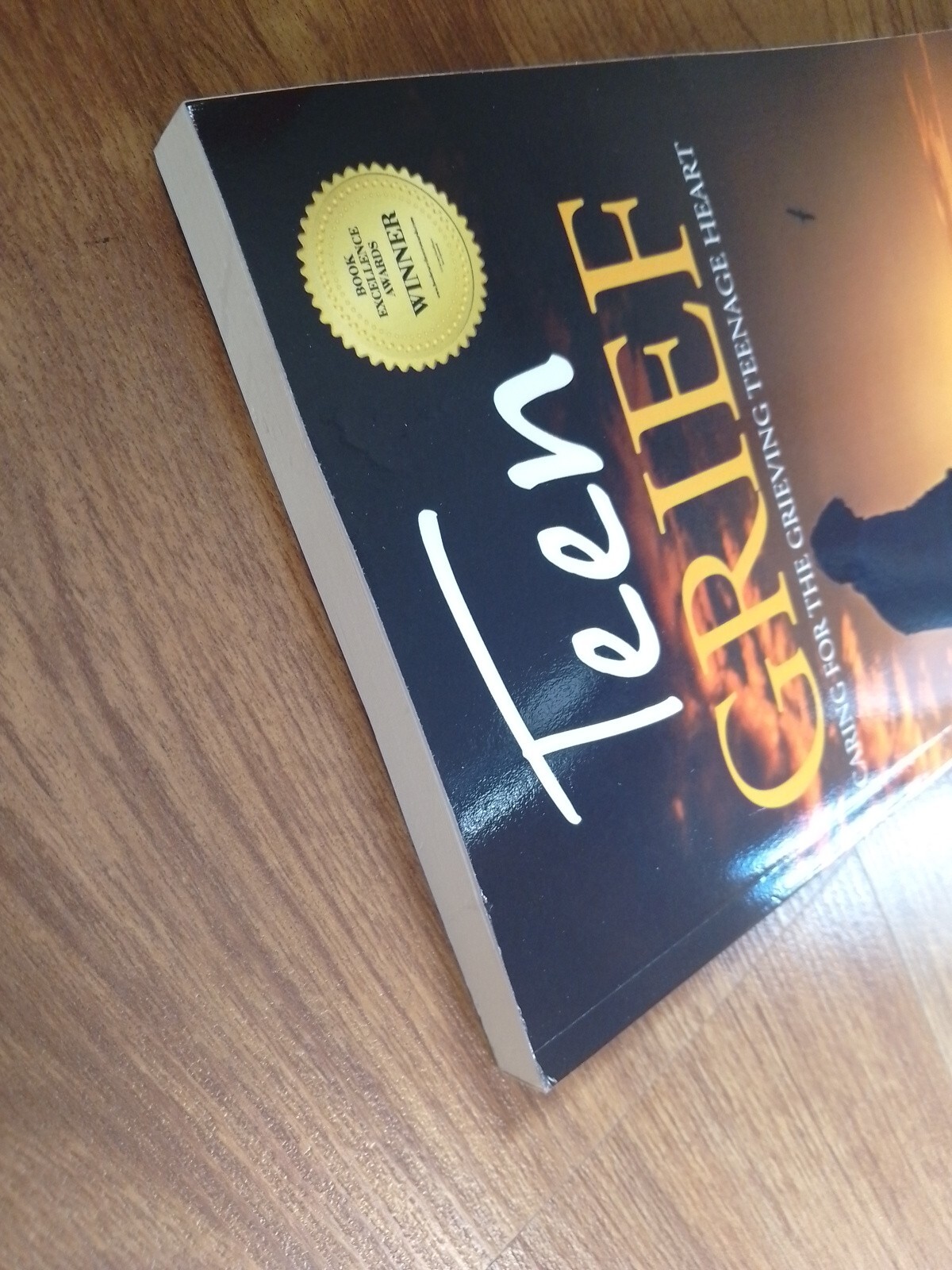 Teen Grief , Gary Roe , Papper Back , Brand New.B1
