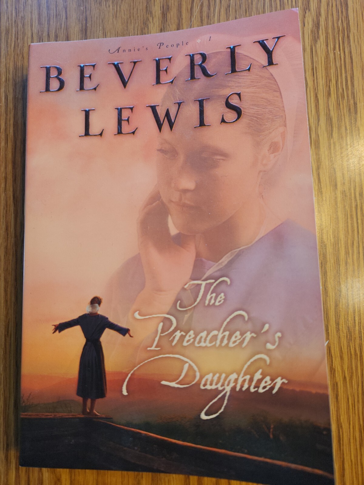 Annie’s People Ser.: The Preacher’s Daughter by Beverly Lewis (2005, Trade…