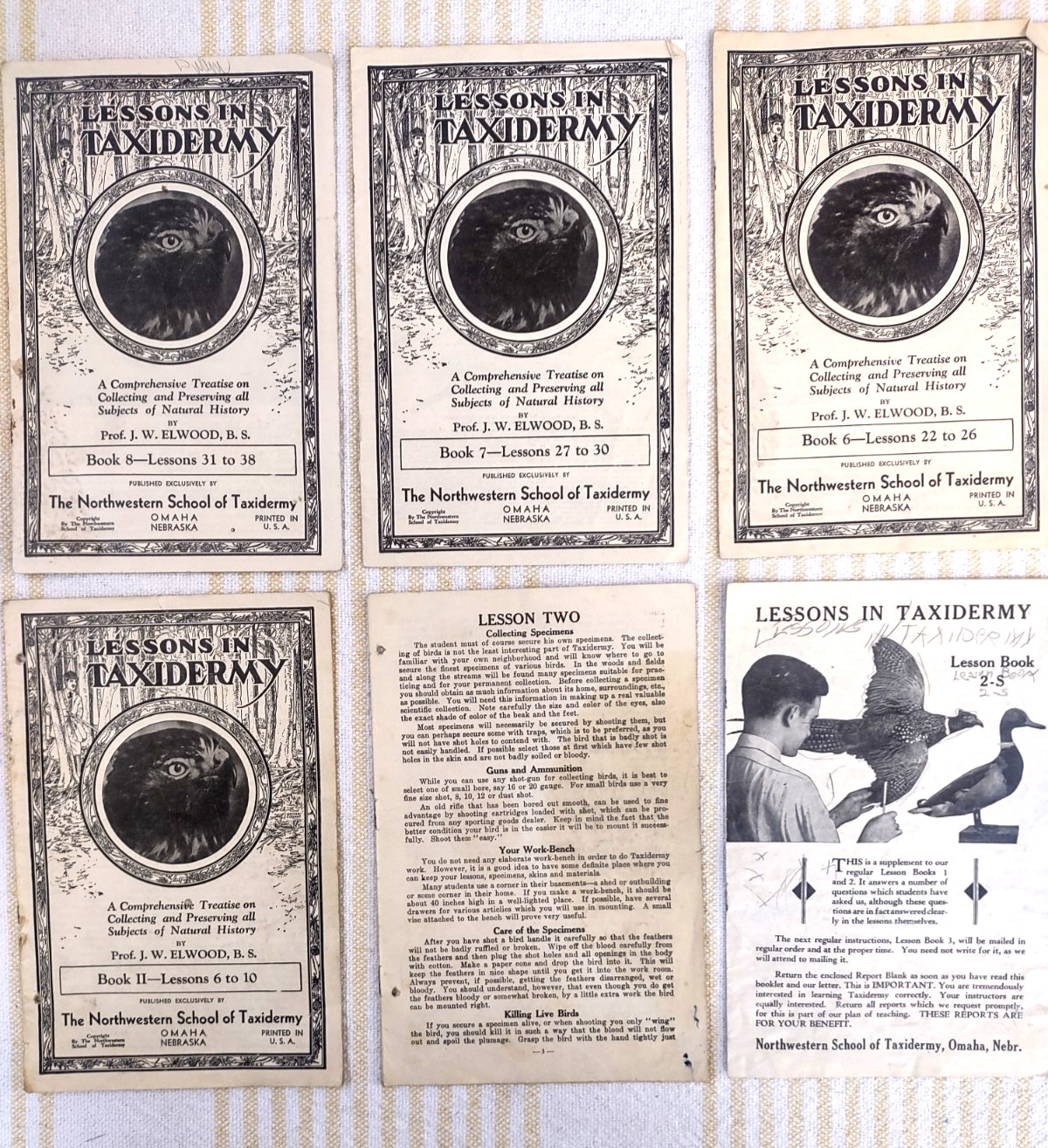 Northwestern School Of Taxidermy Lessons In Taxidermy Books 6, 7, 8, 11 Ephemera