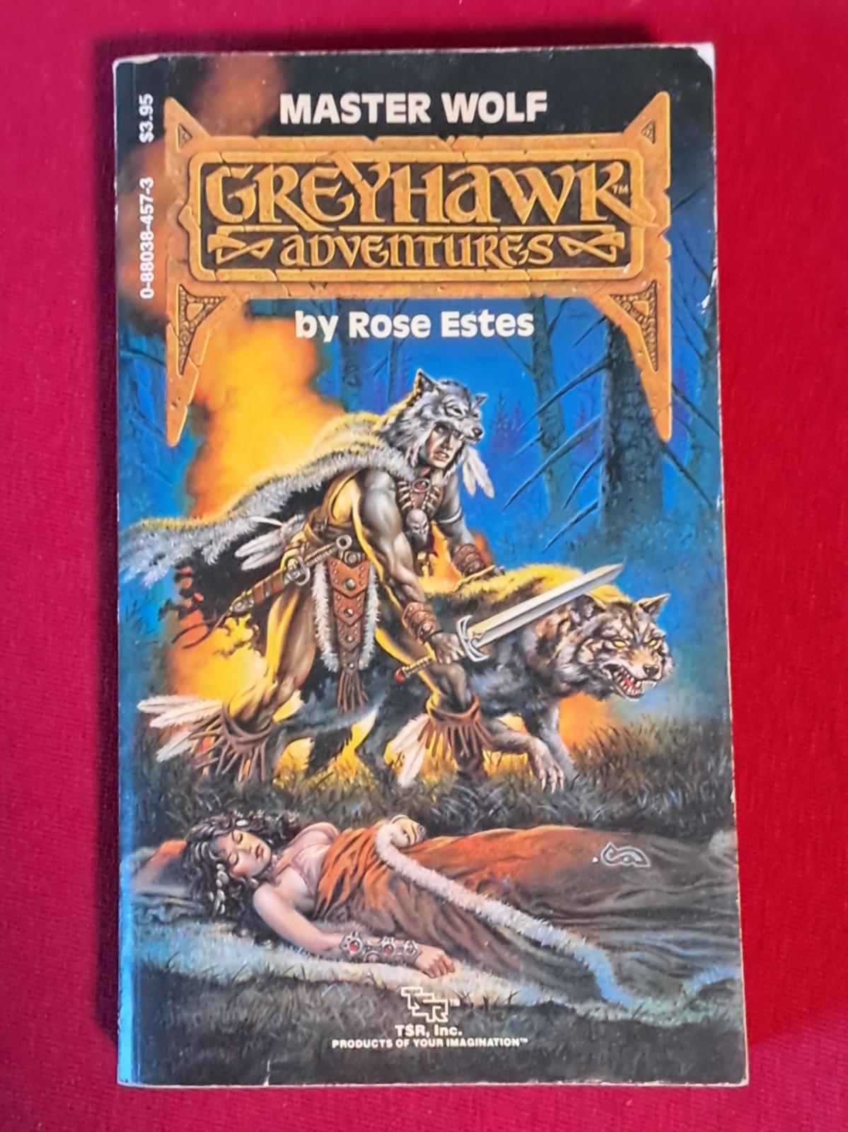Master Wolf-Greyhawk Adventures book #3 by Rose Estes 1987 First Paperback