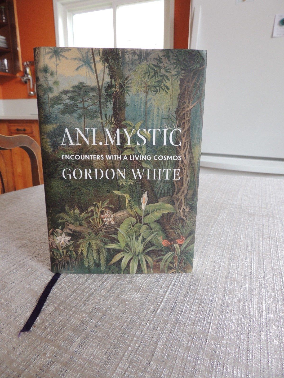 Gordon White Ani.Mystic Encounters With A Living Cosmos Scarlet Imprint Ltd/900