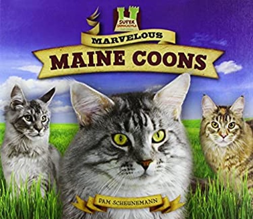 Marvelous Maine Coons Hardcover Pam Scheunemann