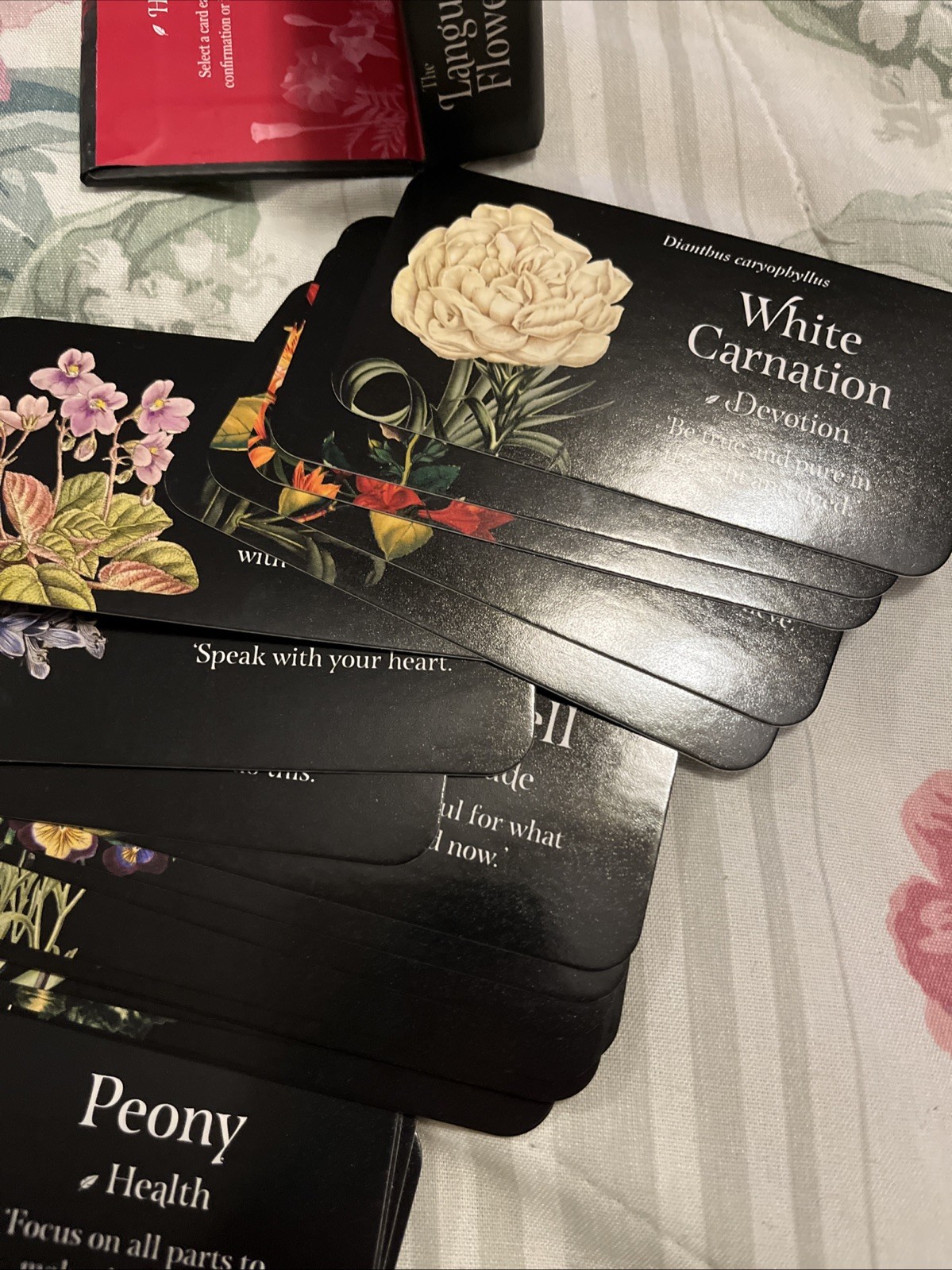 Language of Flowers | Loving Support from the Wisdom of Nature | Oracle Cards