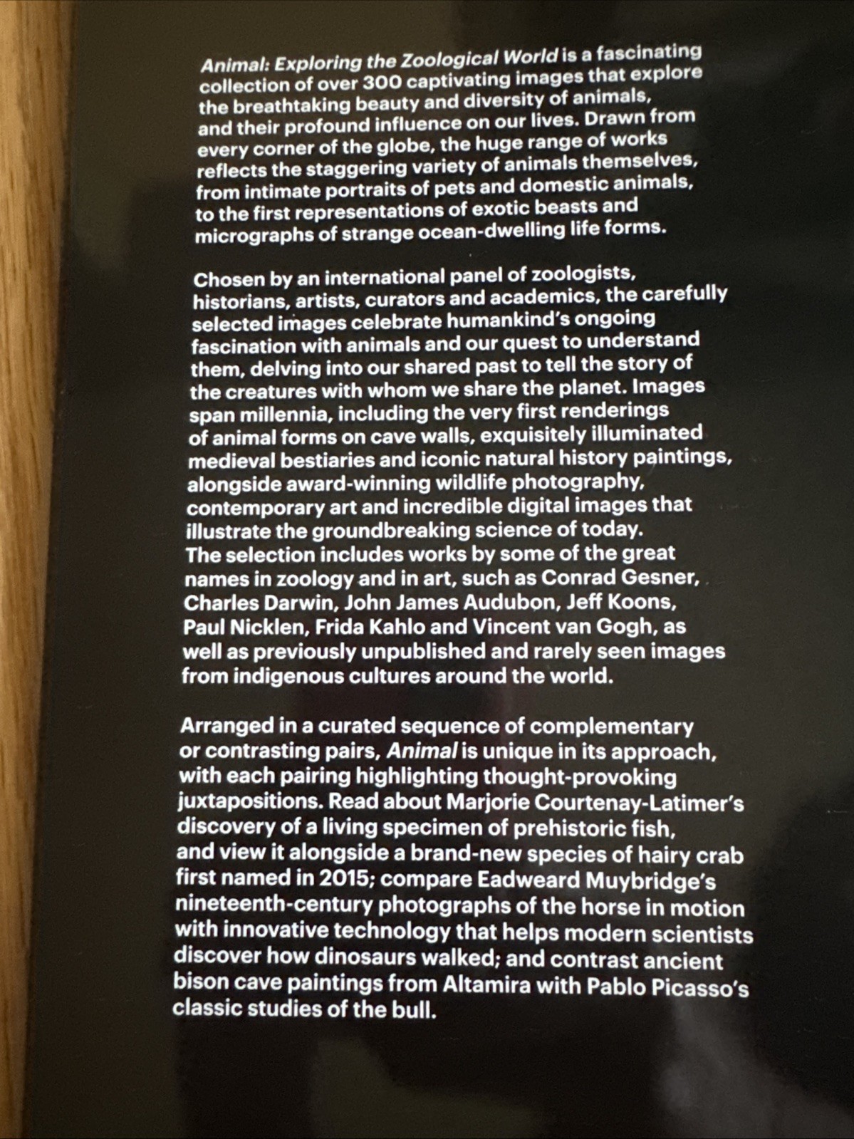 Animal : Exploring the Zoological World by Phaidon Editors (2018, Hardcover)