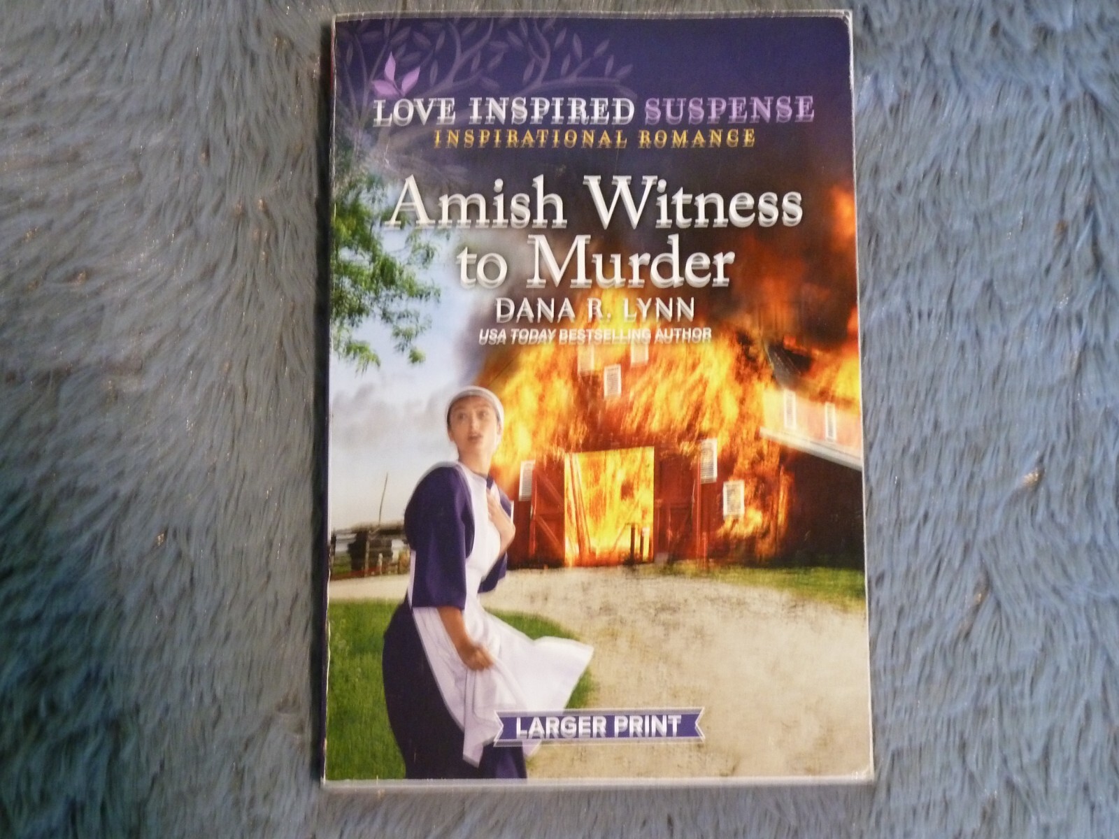 Amish Country Justice Ser.: Amish Witness to Murder by Dana R. Lynn (2024)
