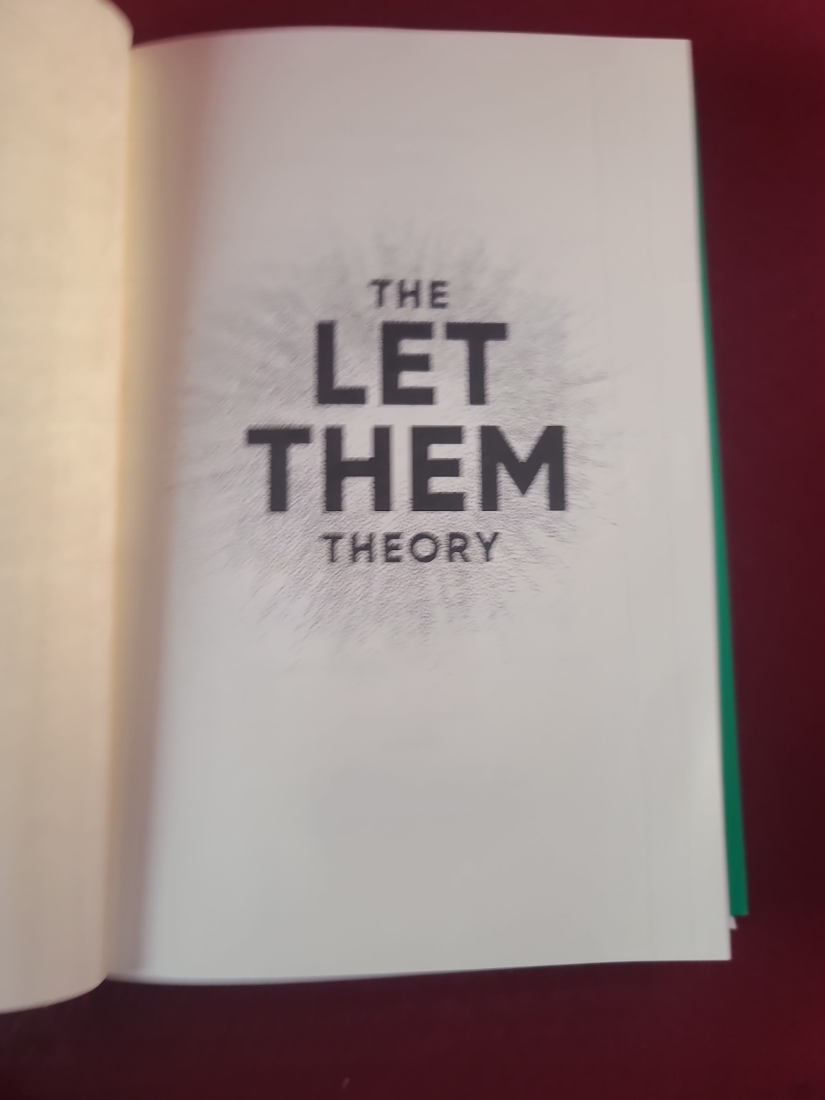 THE LET THEM THEORY Mel Robbins 1st Edition Hardcover Book Self Help Feel Great