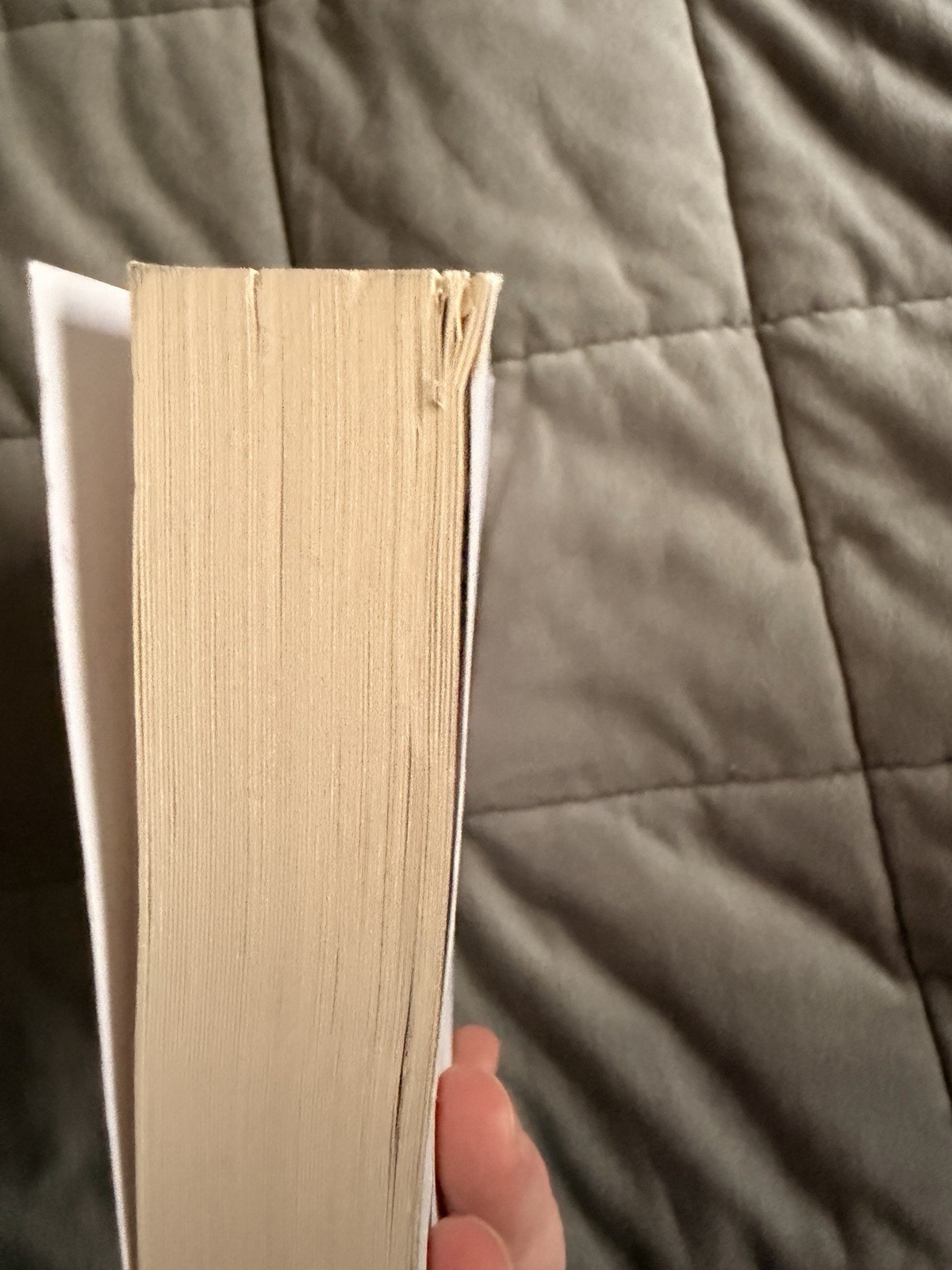*Theo of Golden* By Allen Levi RARE SELF PUBLISHED 1st Edition Paperback