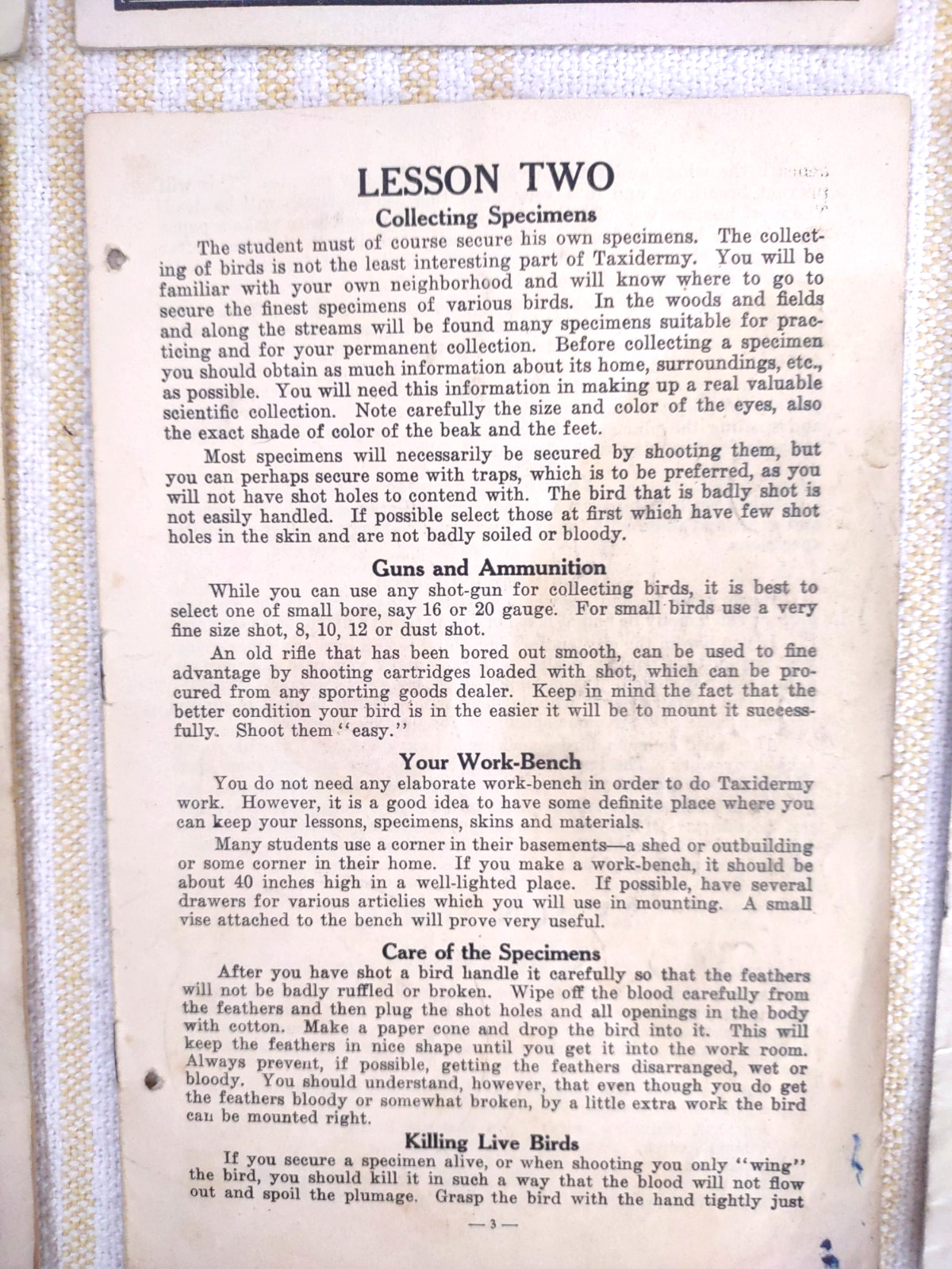 Northwestern School Of Taxidermy Lessons In Taxidermy Books 6, 7, 8, 11 Ephemera