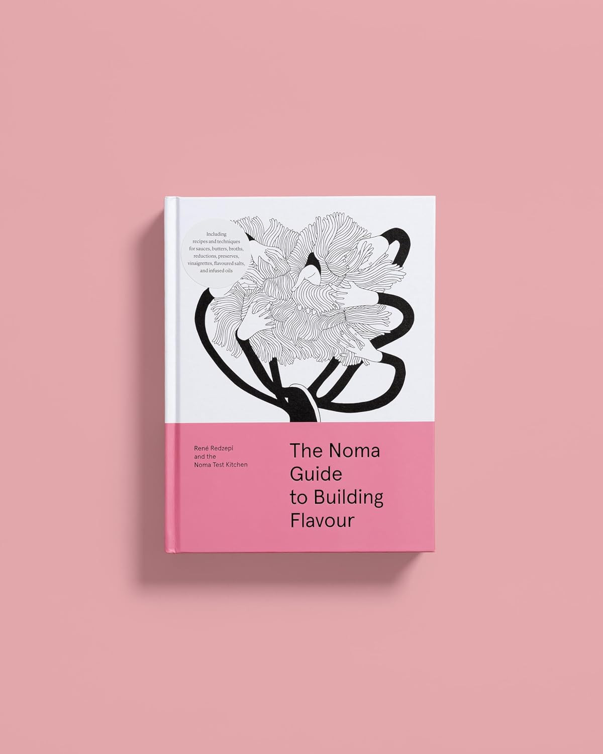 The Noma Guide to Building Flavour: Including Recipes and Techniques for Sauces,