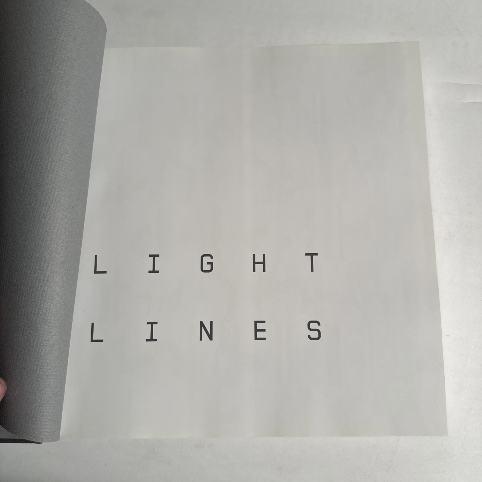Ray K. Metzker Light Lines