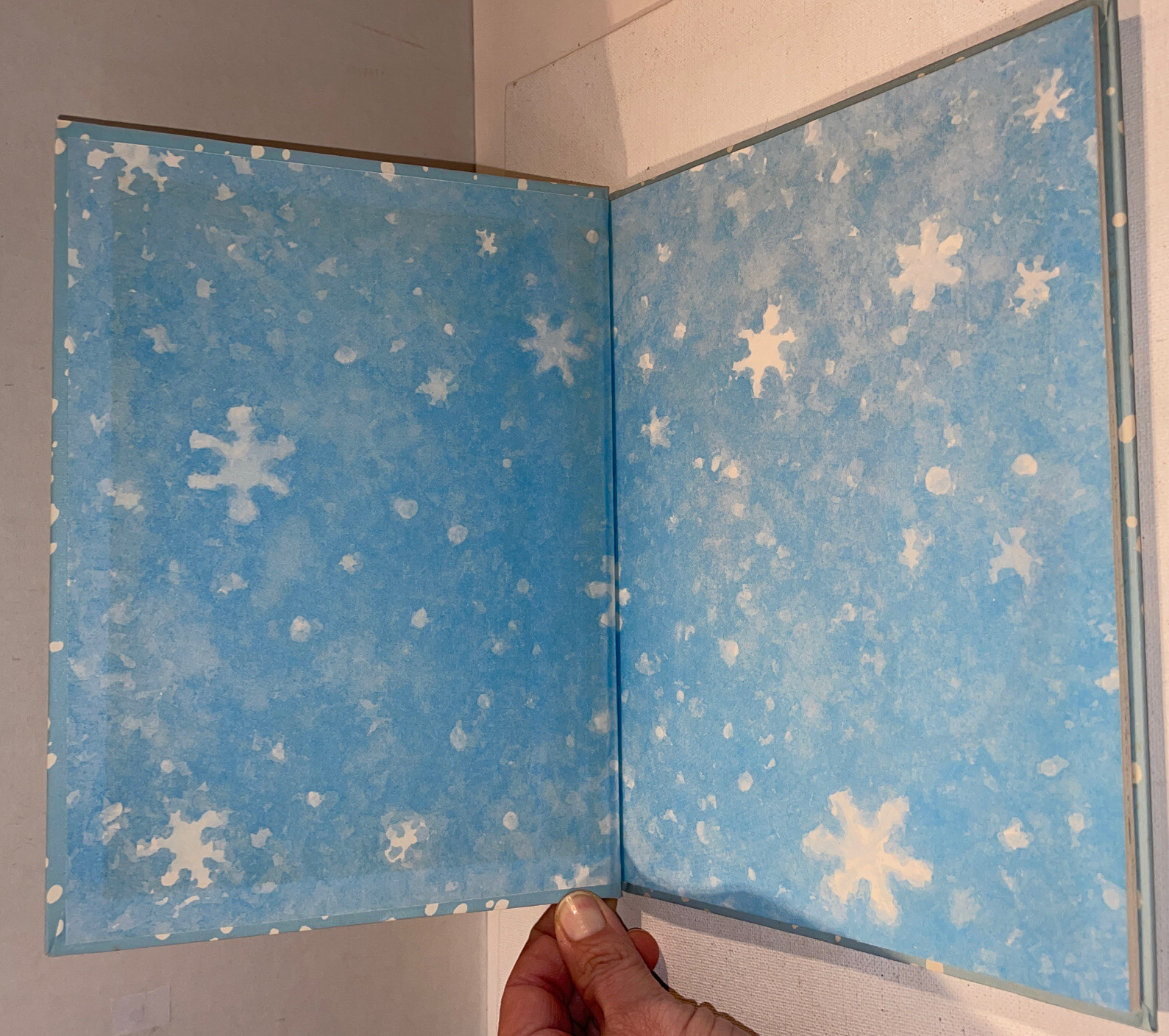 VTG Snow Lion Hardcover David M. McPhail Parents Magazine Press 1982 Read Aloud