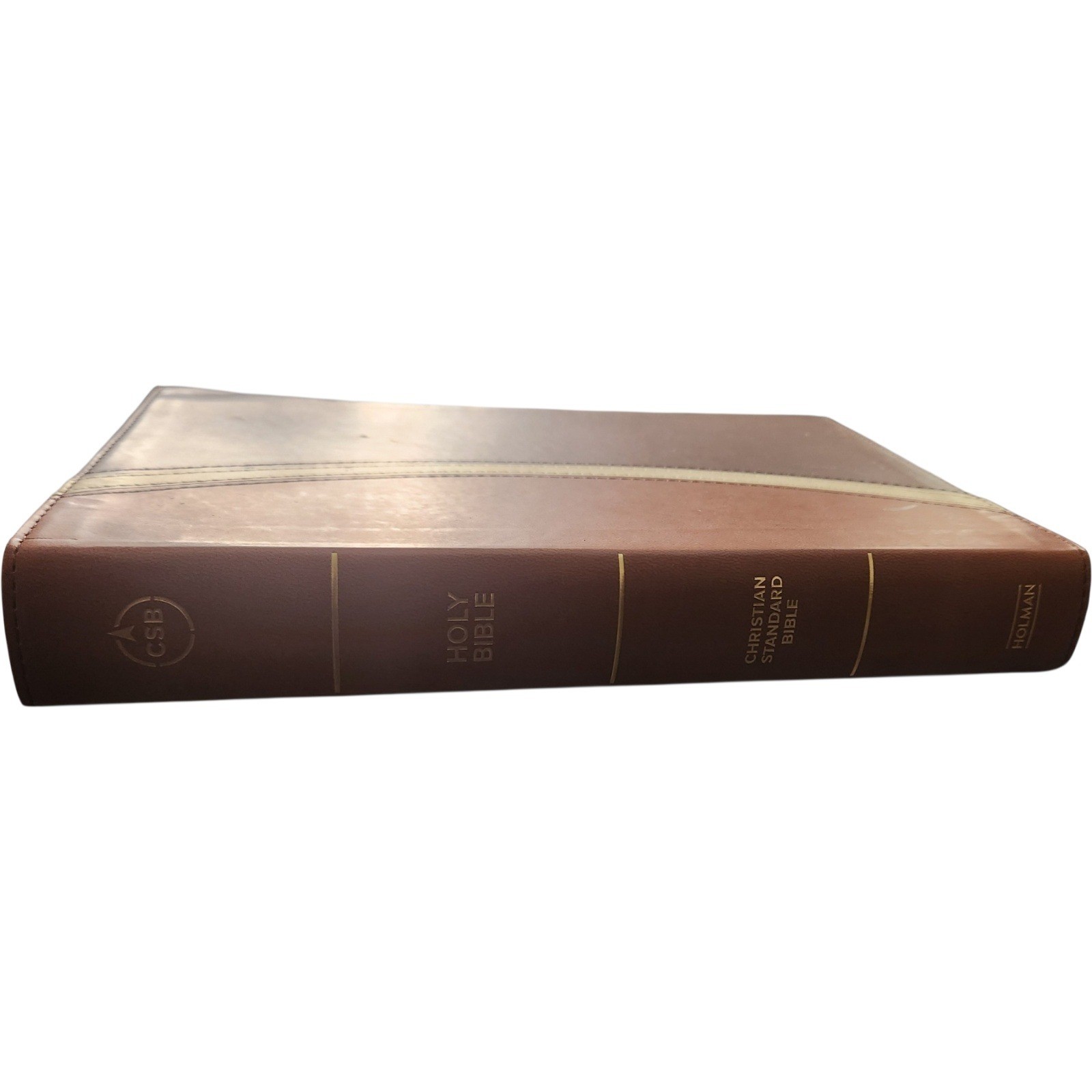Holman CSB Rainbow Study Bible Brown LeatherTouch Christian Standard Bible