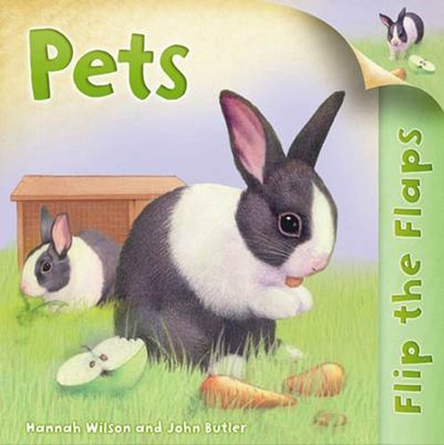 Flip The Flaps: Pets by Wilson, Hannah, Acceptable Book