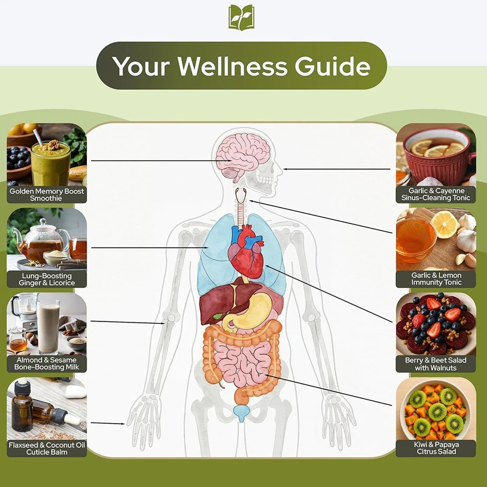 Natural Healing Handbook Spiral Bound Herbal Remedies Tea Recipes