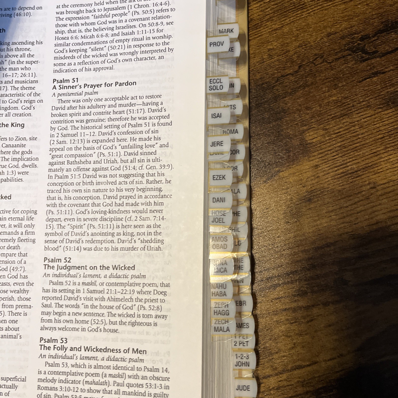 Tyndale Concise Bible Commentary by Robert B Hughes: Used